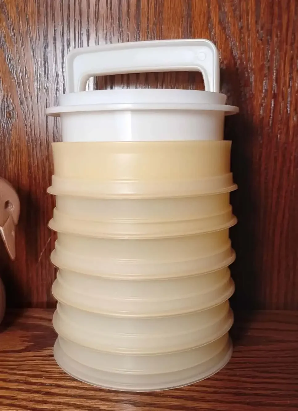 Vintage Tupperware Hamburger Patty Keepers 4